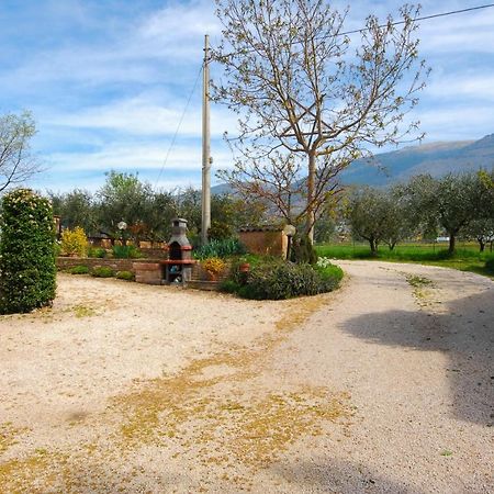 菲奥尔丽公寓 Passaggio di Assisi 外观 照片