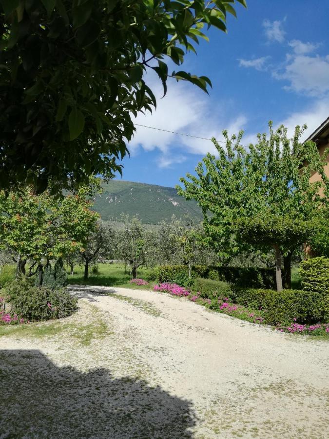 菲奥尔丽公寓 Passaggio di Assisi 外观 照片