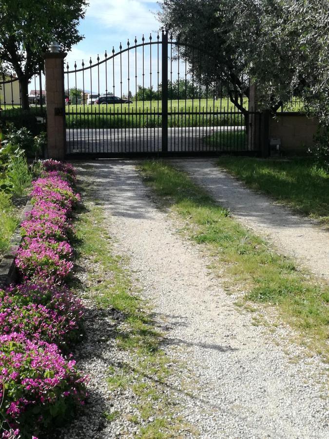 菲奥尔丽公寓 Passaggio di Assisi 外观 照片