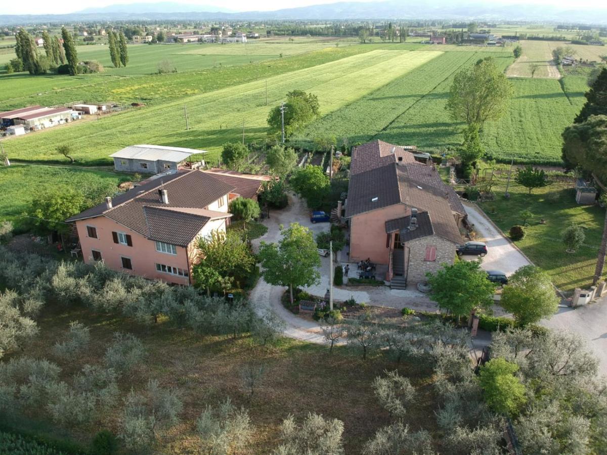 菲奥尔丽公寓 Passaggio di Assisi 外观 照片